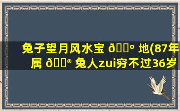 兔子望月风水宝 🐺 地(87年属 💮 兔人zui
穷不过36岁)